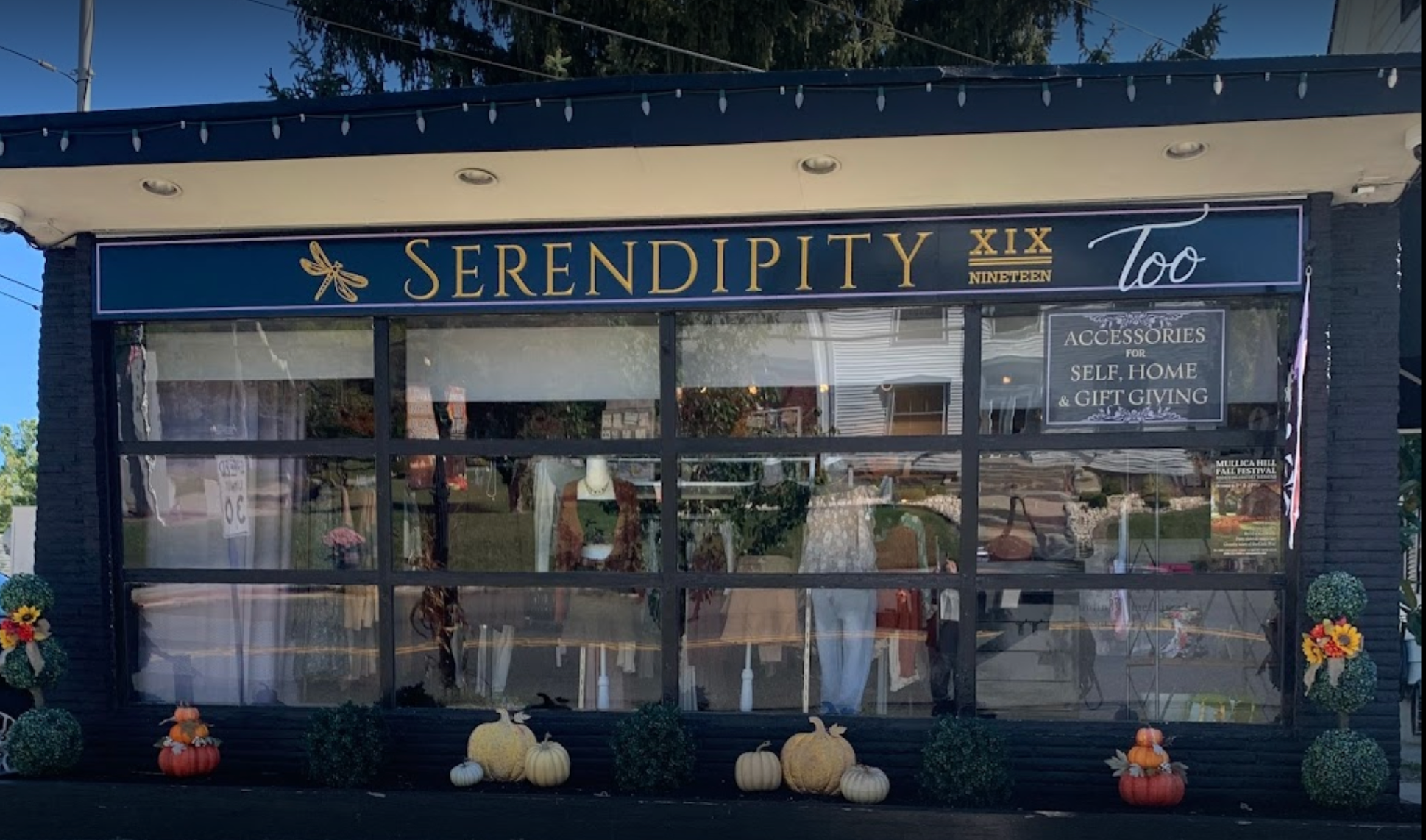 serendipity Screen_Shot_2021-11-12_at_10.